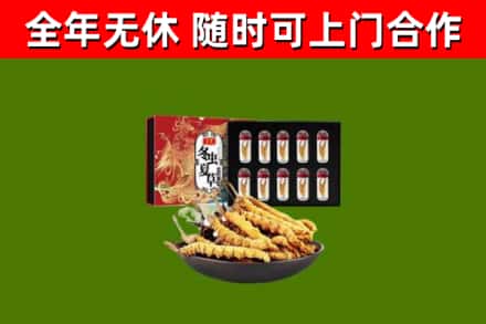 九江市烟酒回收冬虫夏草礼盒.jpg